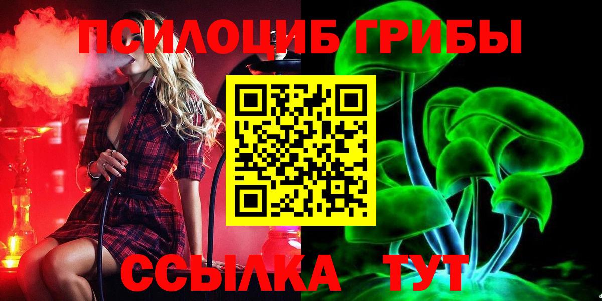 Галлюциногенные грибы прущие грибы  Галлюциногенные грибы мицелий  Вход с VPN  Егорьевск 